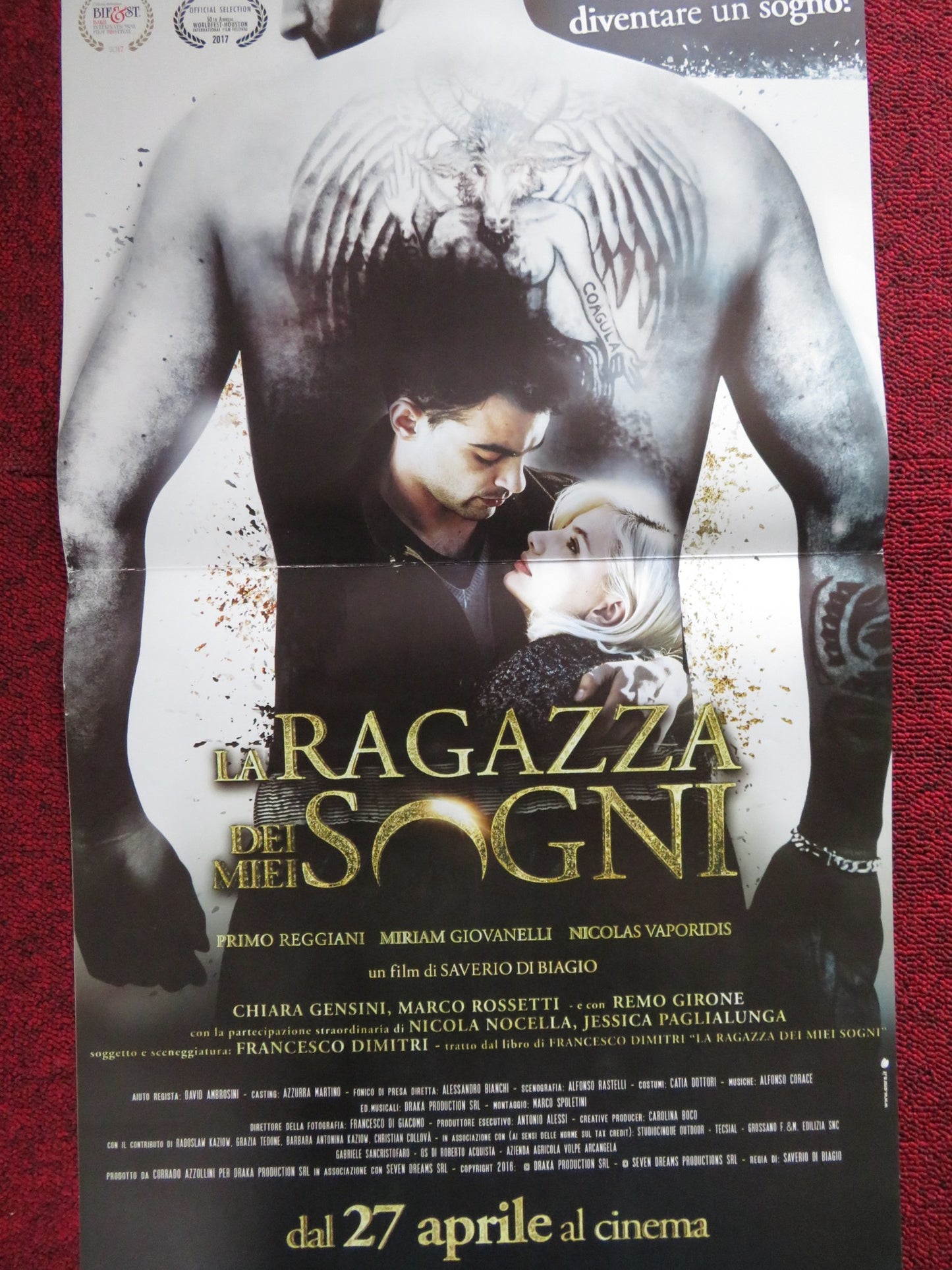 LA RAGAZZA DEI MIEI SOGNI ITALIAN LOCANDINA POSTER REGGIANI GIOVANELLI 2017