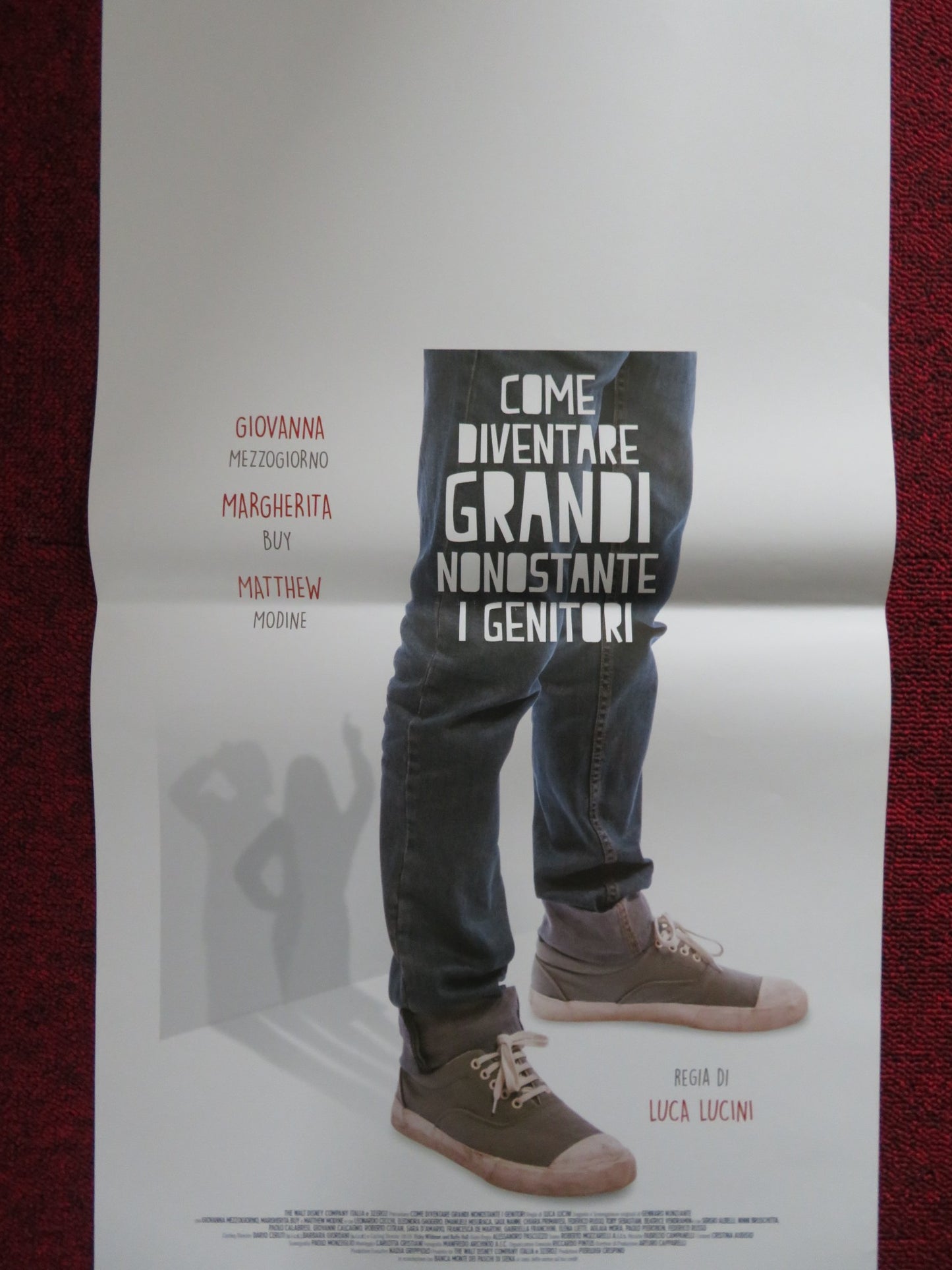 COME DIVENTARE GRANDI NONOSTANTE I GENITORI ITALIAN LOCANDINA POSTER M. BUY 2016