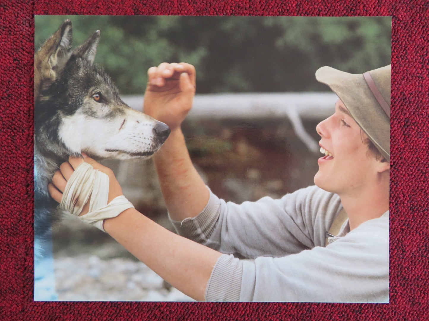 WHITE FANG - C LOBBY CARD ETHAN HAWKE KLAUS BRANDAUER 1991