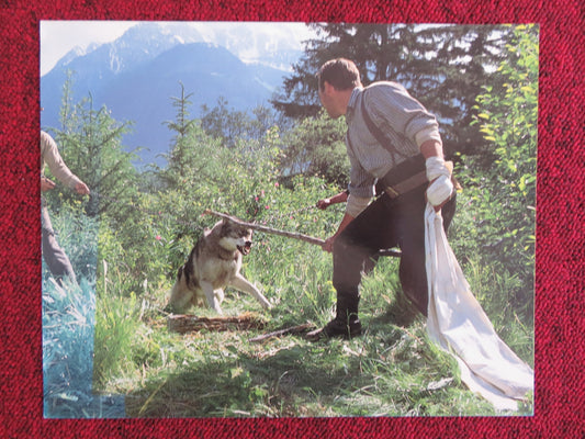 WHITE FANG - D LOBBY CARD ETHAN HAWKE KLAUS BRANDAUER 1991