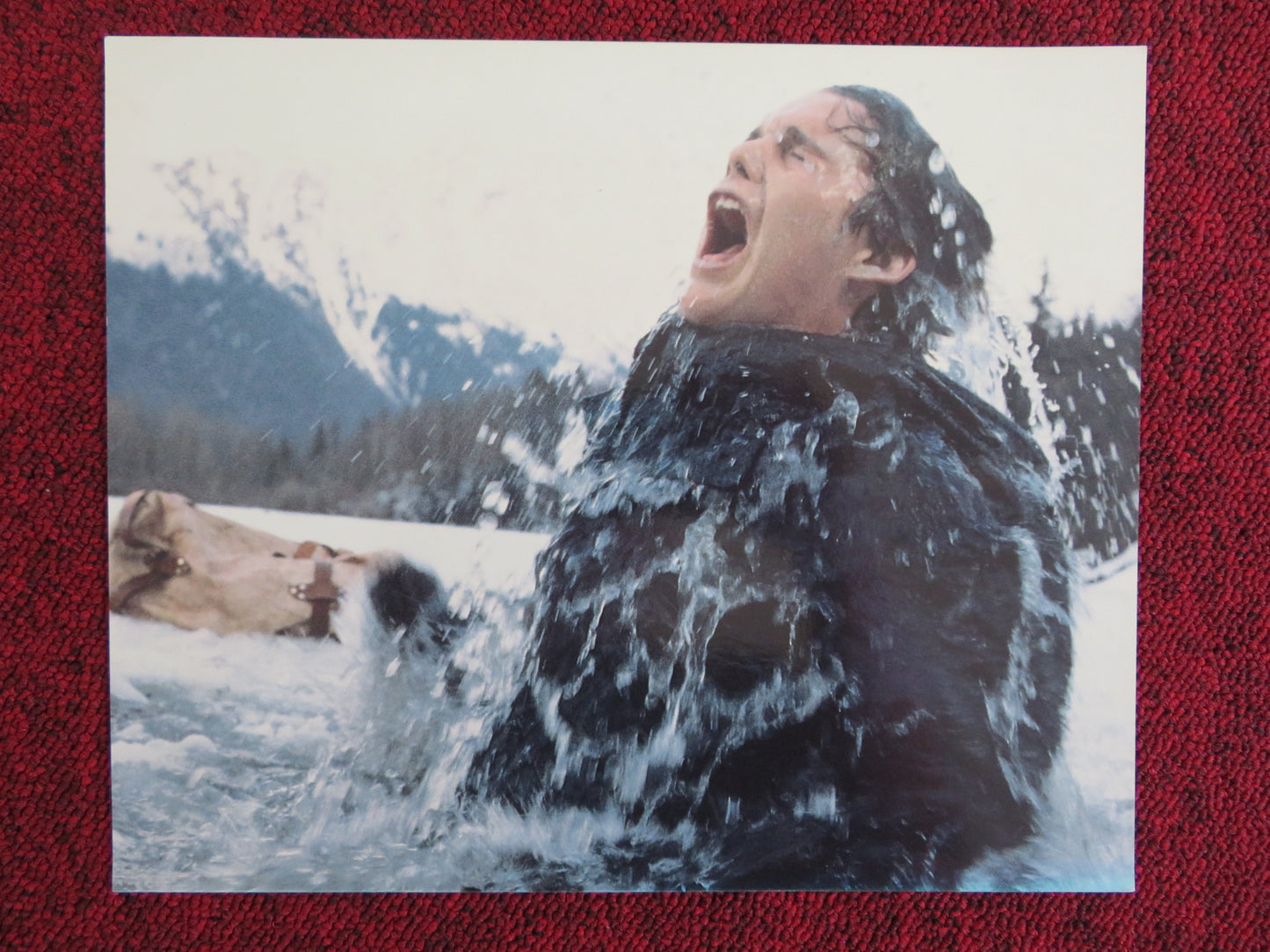 WHITE FANG - E LOBBY CARD ETHAN HAWKE KLAUS BRANDAUER 1991