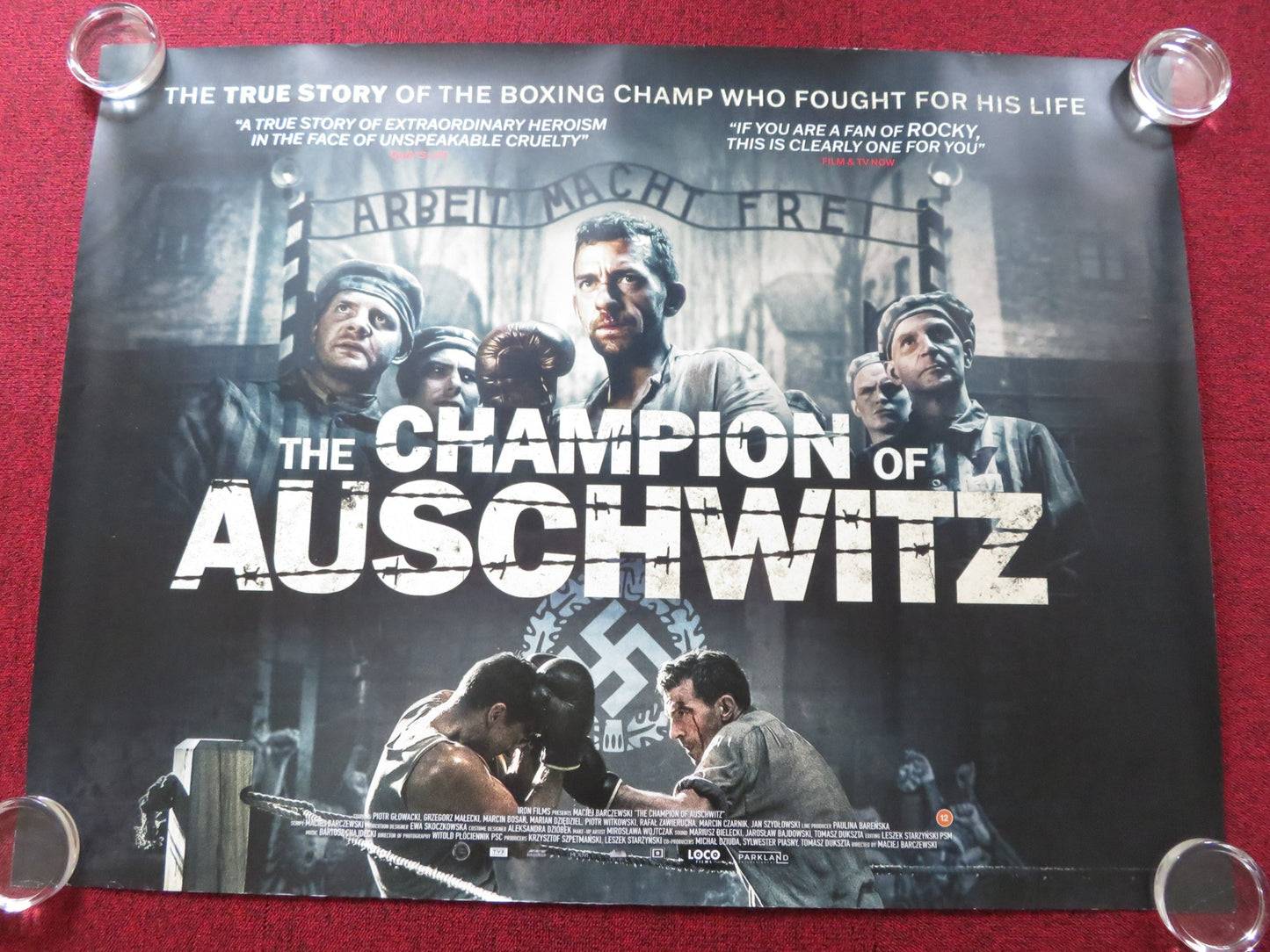 THE CHAMPION OF AUSCHWITZ UK QUAD (30"x 40") ROLLED POSTER PIOTR GLOWACKI 2020