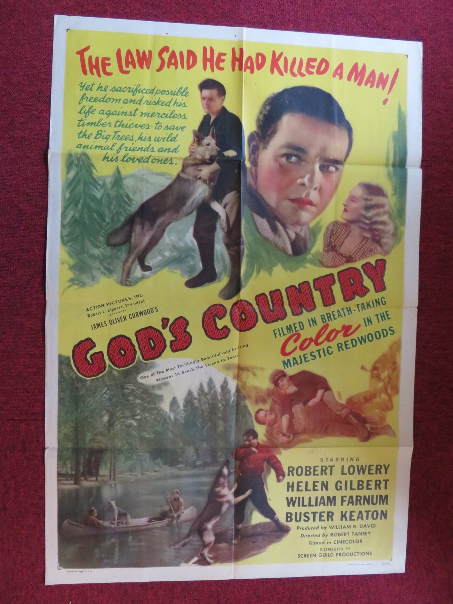 GOD'S COUNTRY FOLDED US ONE SHEET POSTER ROBERT LOWERY HELEN GILBERT 1946