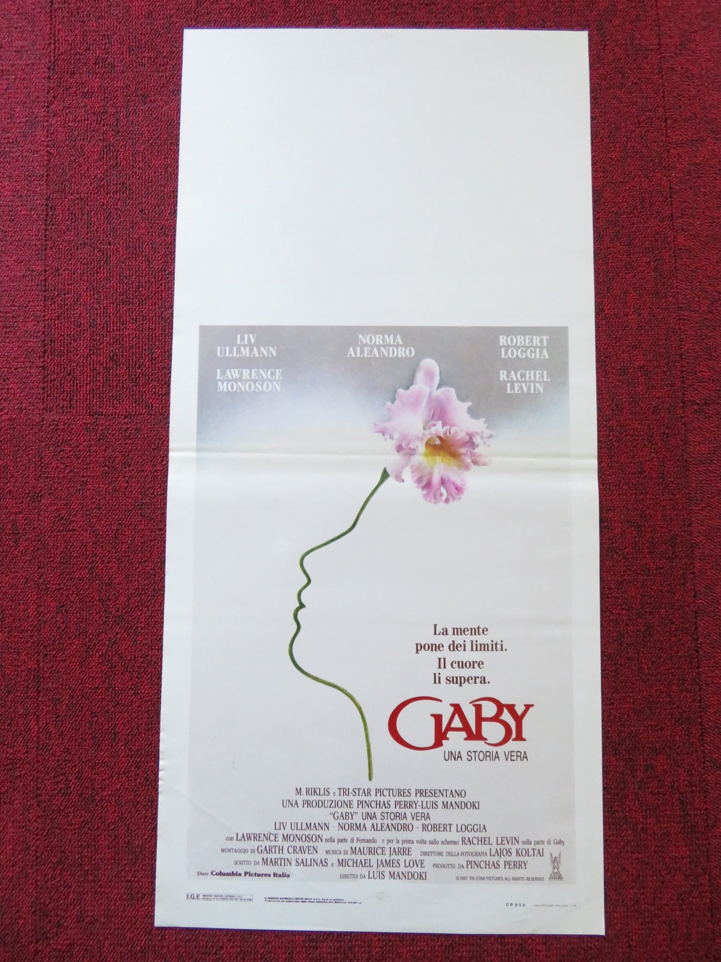 GABY: A TRUE STORY ITALIAN LOCANDINA POSTER LIV ULLMAN NORMA ALEANDRO 1988