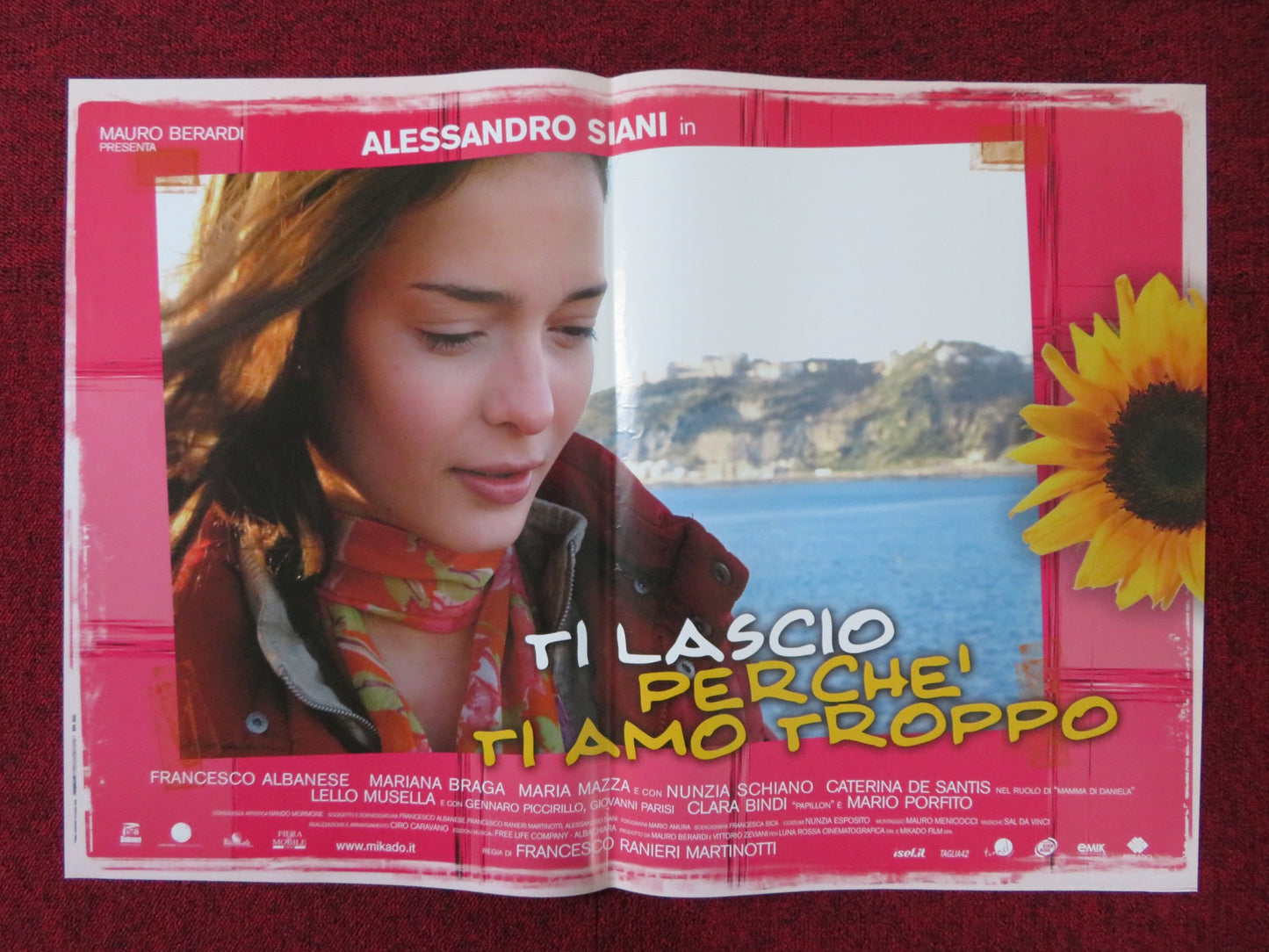 TI LASCIO PERCHE' TI AMO TROPPO - A ITALIAN FOTOBUSTA POSTER F. ALBANESE 2006