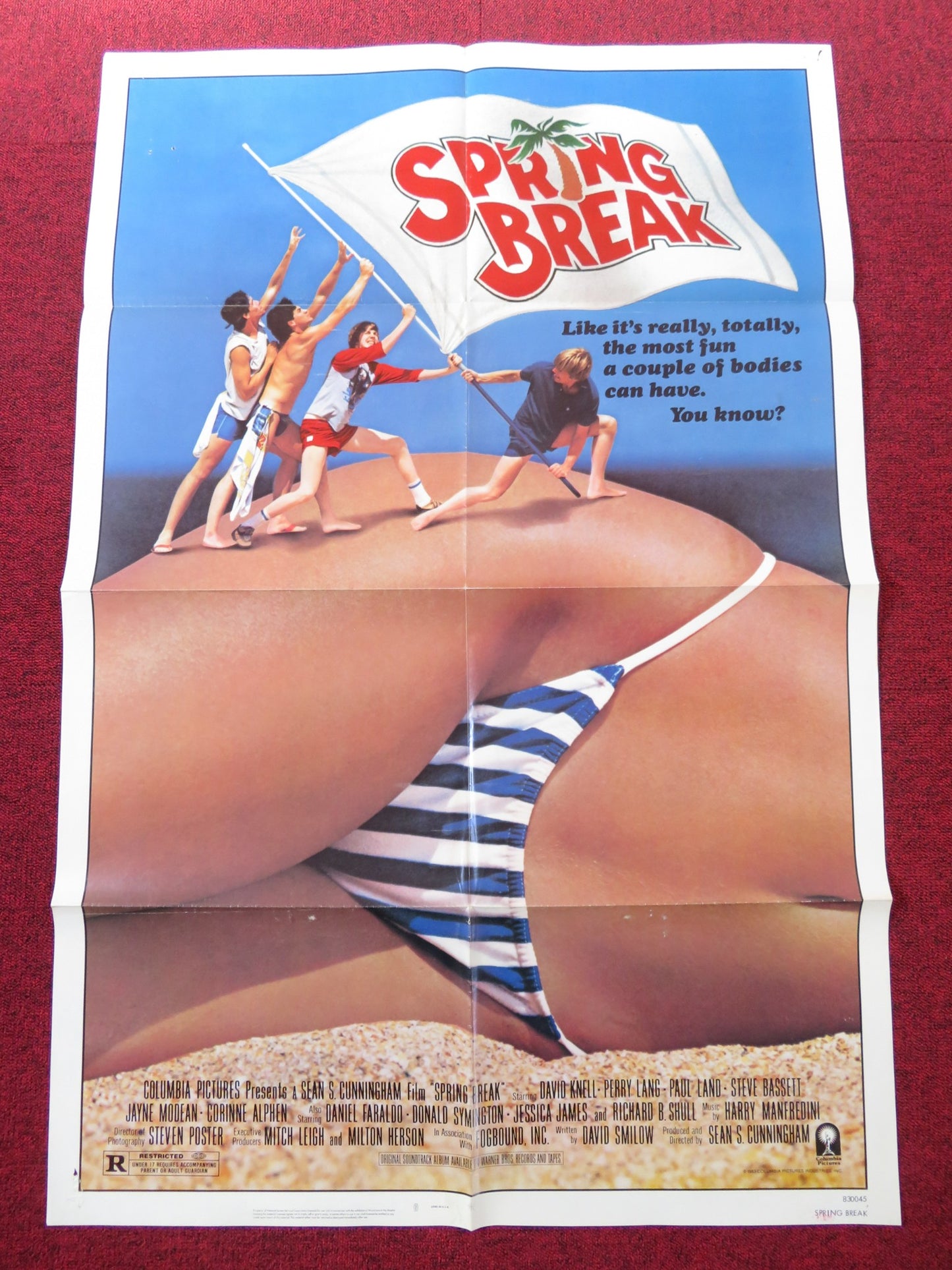 SPRING BREAK-B FOLDED US ONE SHEET POSTER DAVID KNELL PERRY LANG 1983