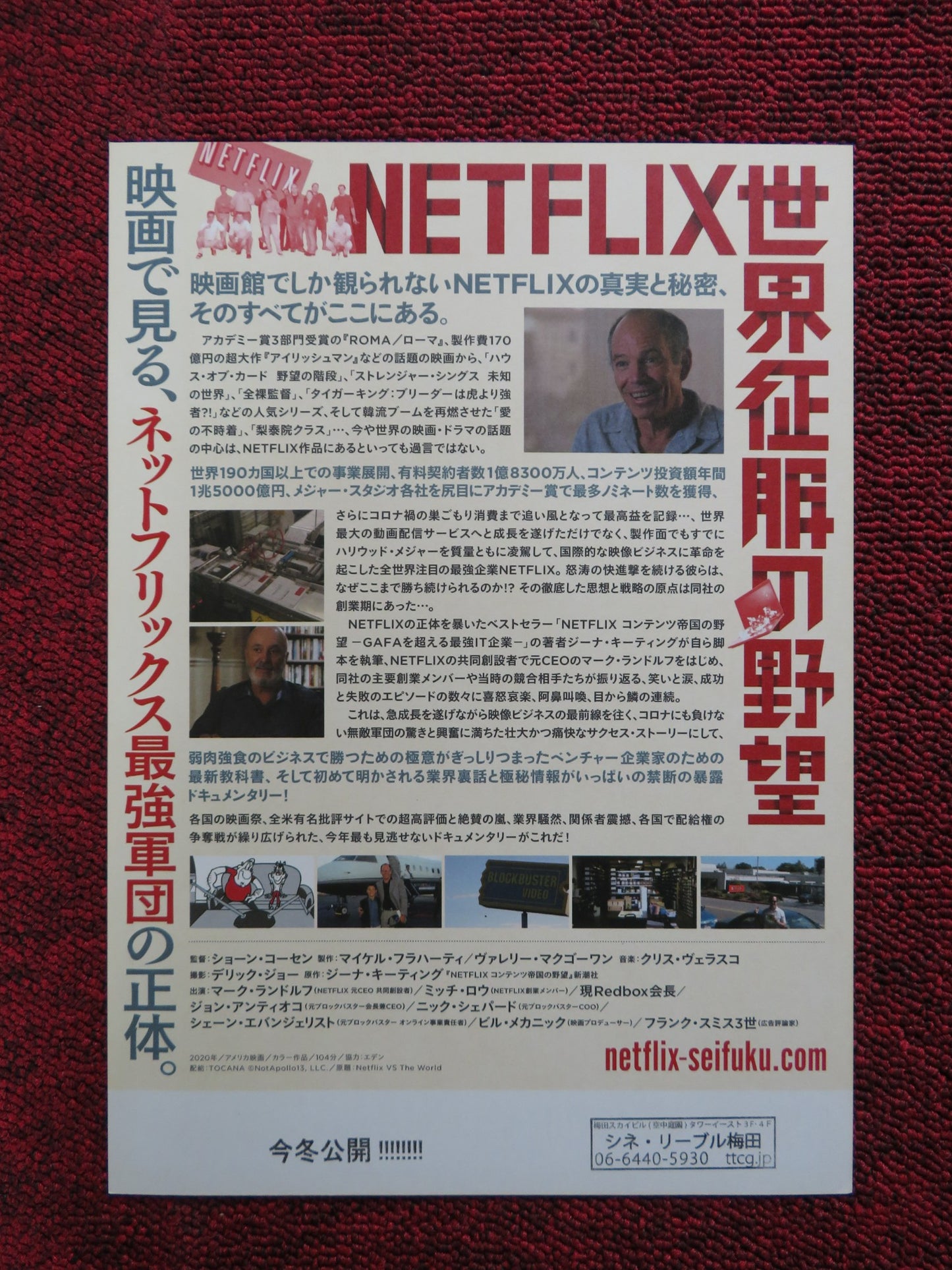 NETFLIX VS. THE WORLD JAPANESE CHIRASHI (B5) POSTER SHAWN CAUTHEN 2019