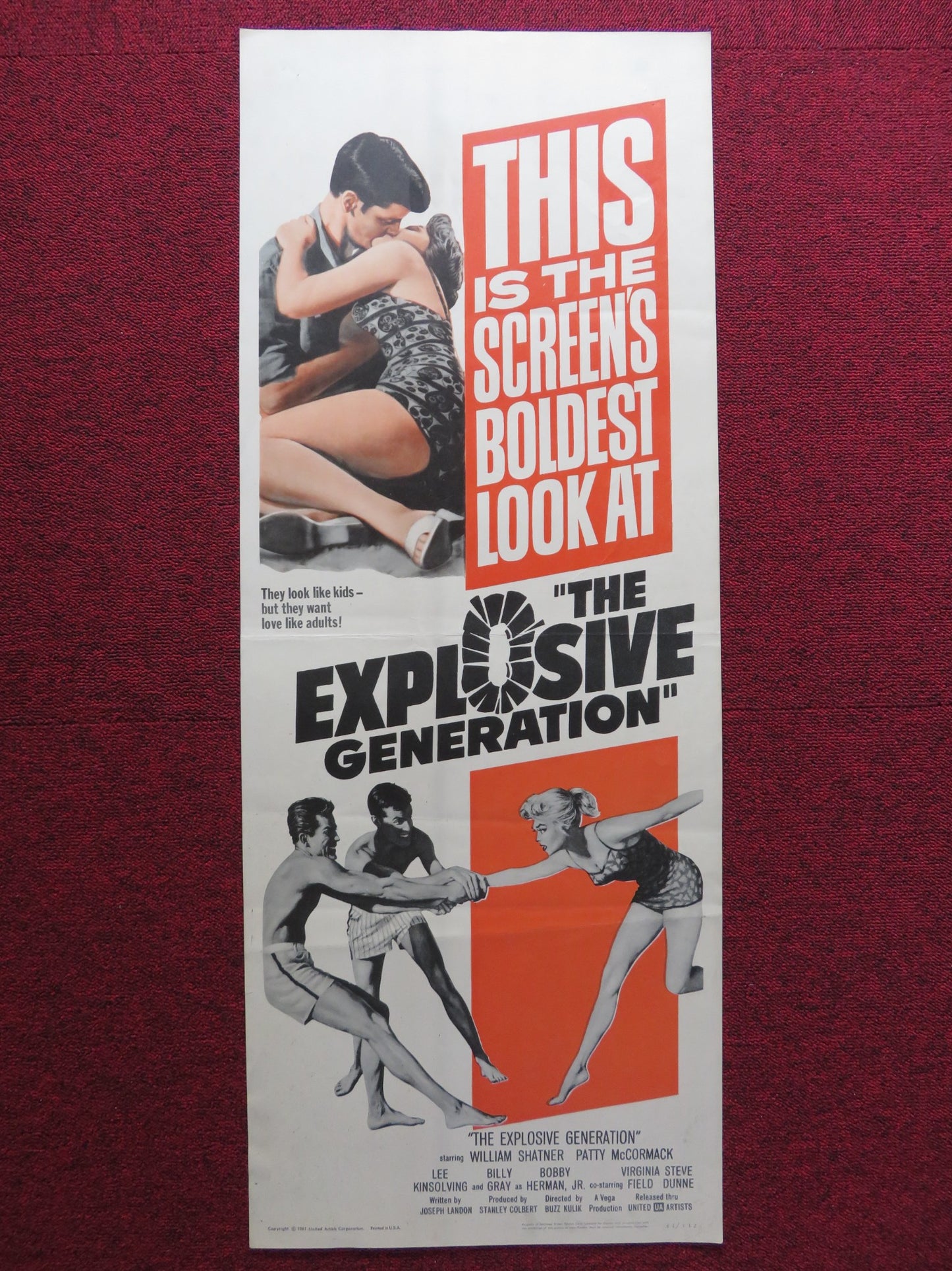 THE EXPLOSIVE GENERATION US INSERT (14"x 36") POSTER WILLIAM SHATNER 1961