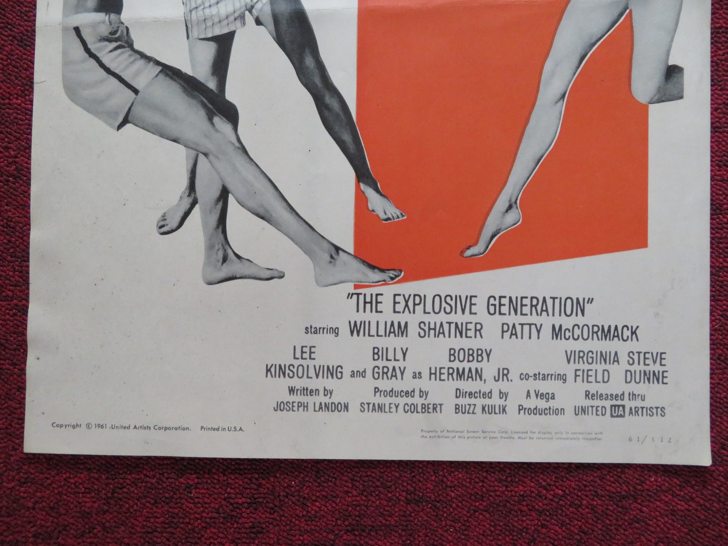 THE EXPLOSIVE GENERATION US INSERT (14"x 36") POSTER WILLIAM SHATNER 1961