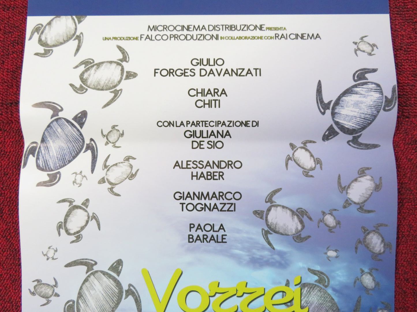 VORREI VEDERTI BALLARE ITALIAN LOCANDINA POSTER PAOLA BARALE F. CASTELLANO 2012