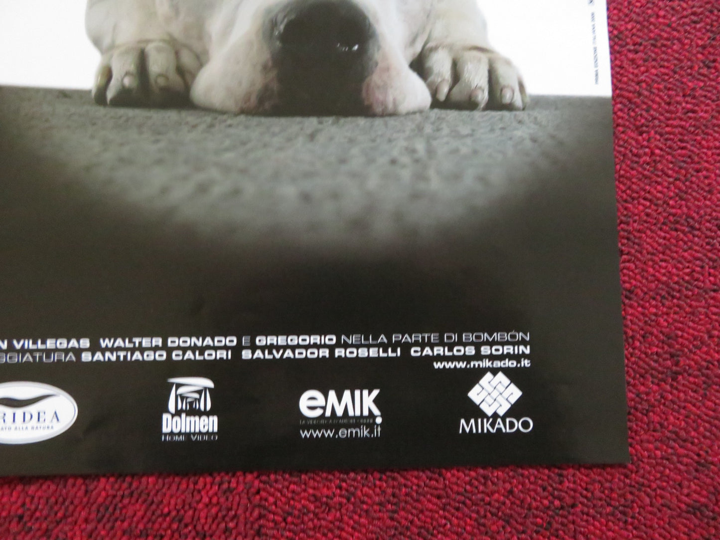 BOMBON EL PERRO - A ITALIAN FOTOBUSTA POSTER JUAN VILLEGAS WALTER DONADO 2004