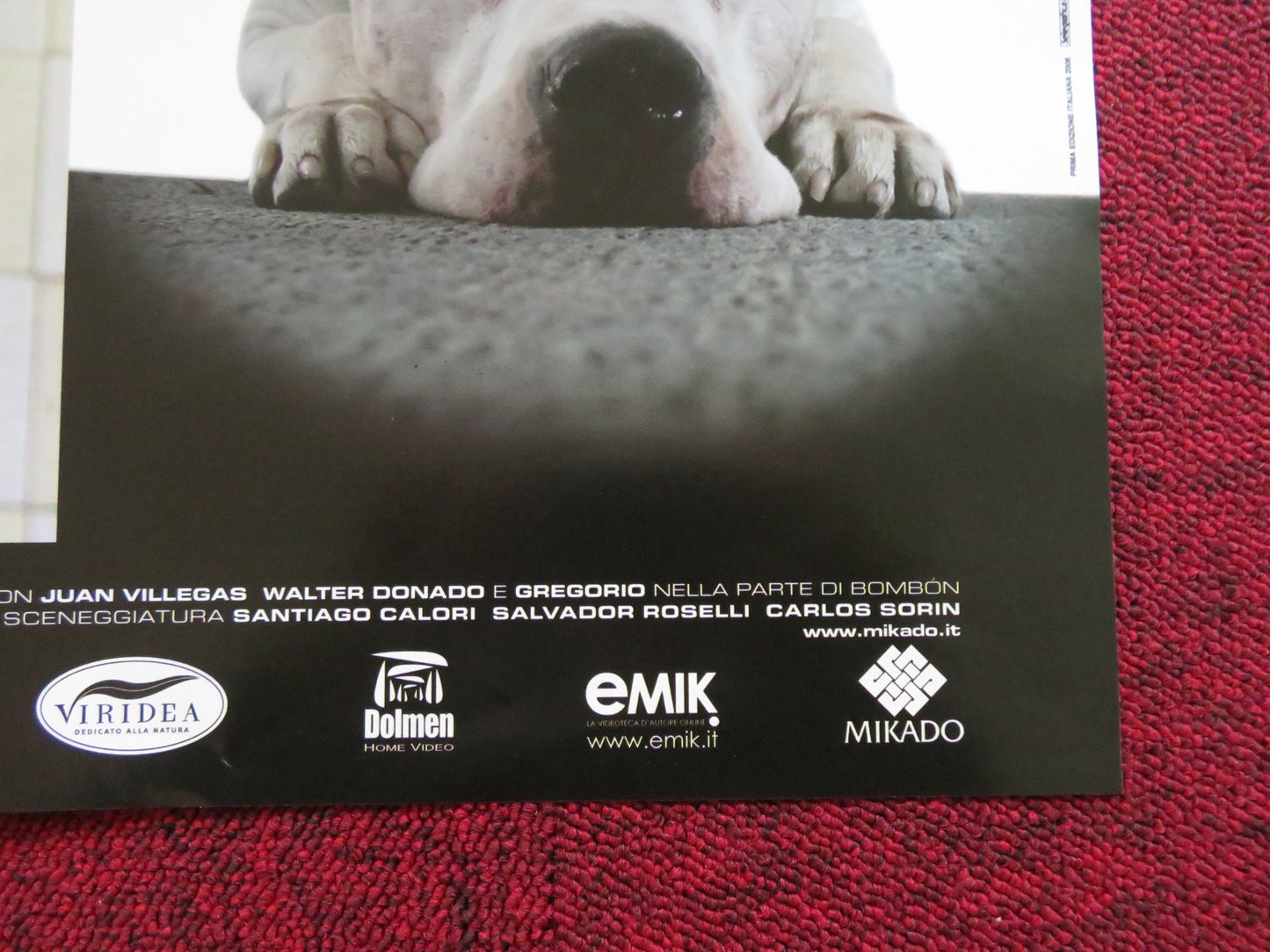 BOMBON EL PERRO - D ITALIAN FOTOBUSTA POSTER JUAN VILLEGAS WALTER DONADO 2004