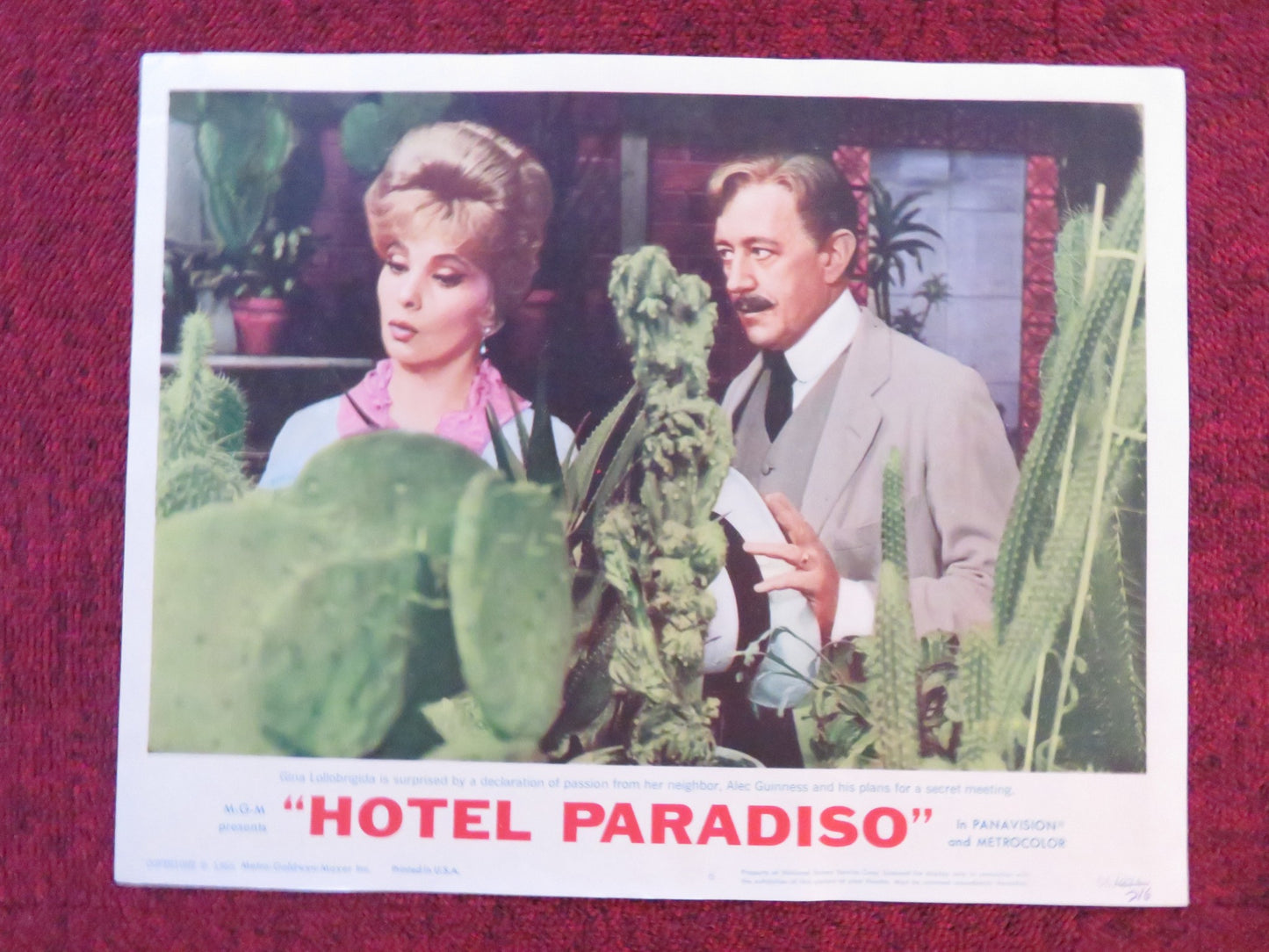 HOTEL PARADISO US LOBBY CARD FULL SET GINA LOLLOBRIGIDA ROBERT MORLEY 1966