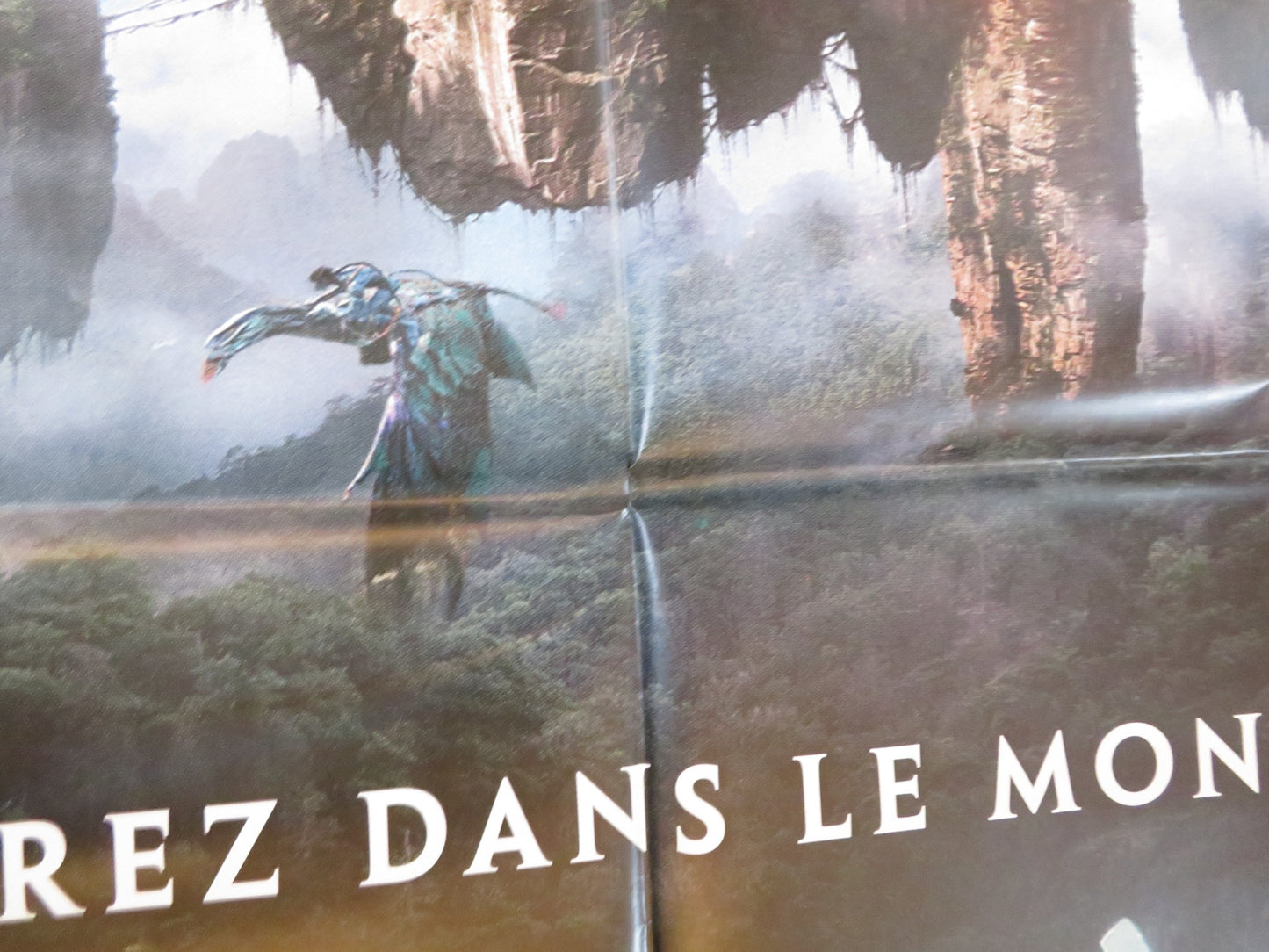 AVATAR FRENCH GRANDE POSTER SAM WORTHINGTON ZOE SALDANA 2009