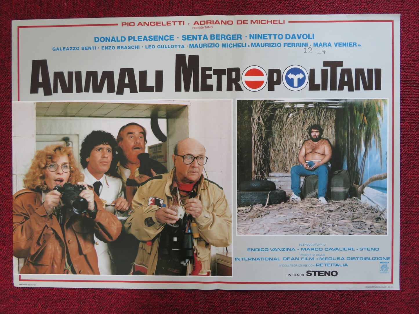 ANIMALI METROPOLITANI - B ITALIAN FOTOBUSTA POSTER DONALD PLEASENCE 1987