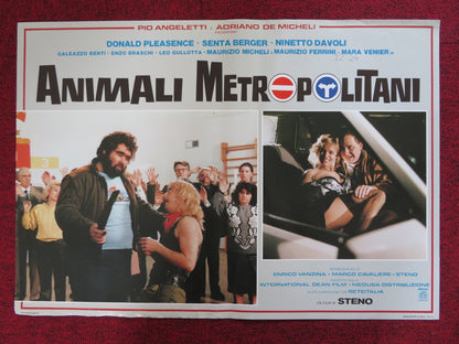 ANIMALI METROPOLITANI - C ITALIAN FOTOBUSTA POSTER DONALD PLEASENCE 1987