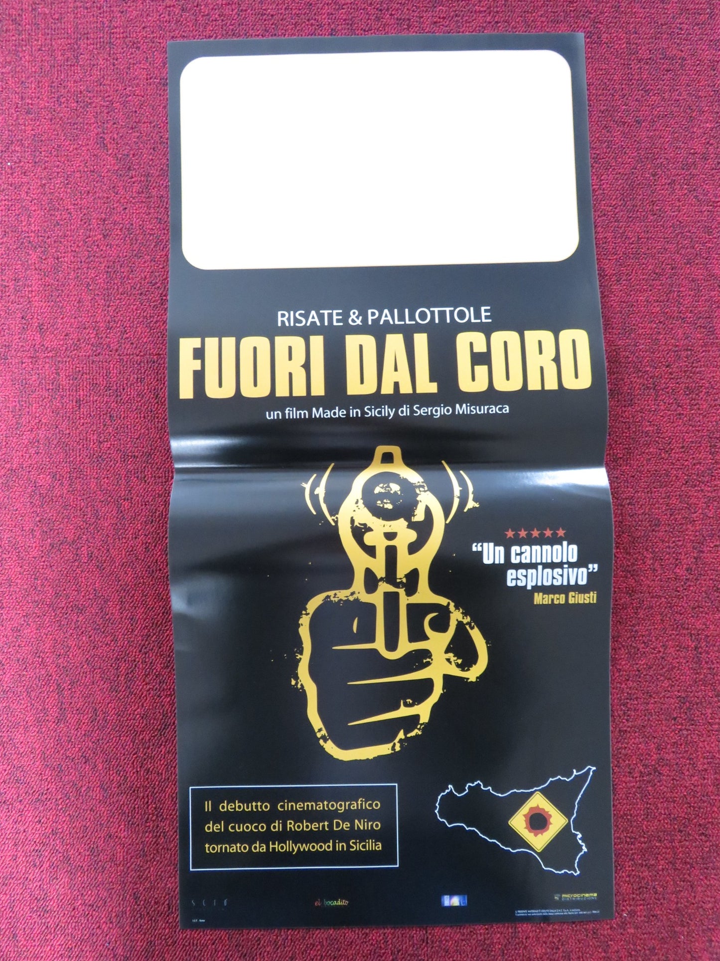 FUORI DAL CORO ITALIAN LOCANDINA POSTER MANUELA MULE DARIO RAIMONDI 2015