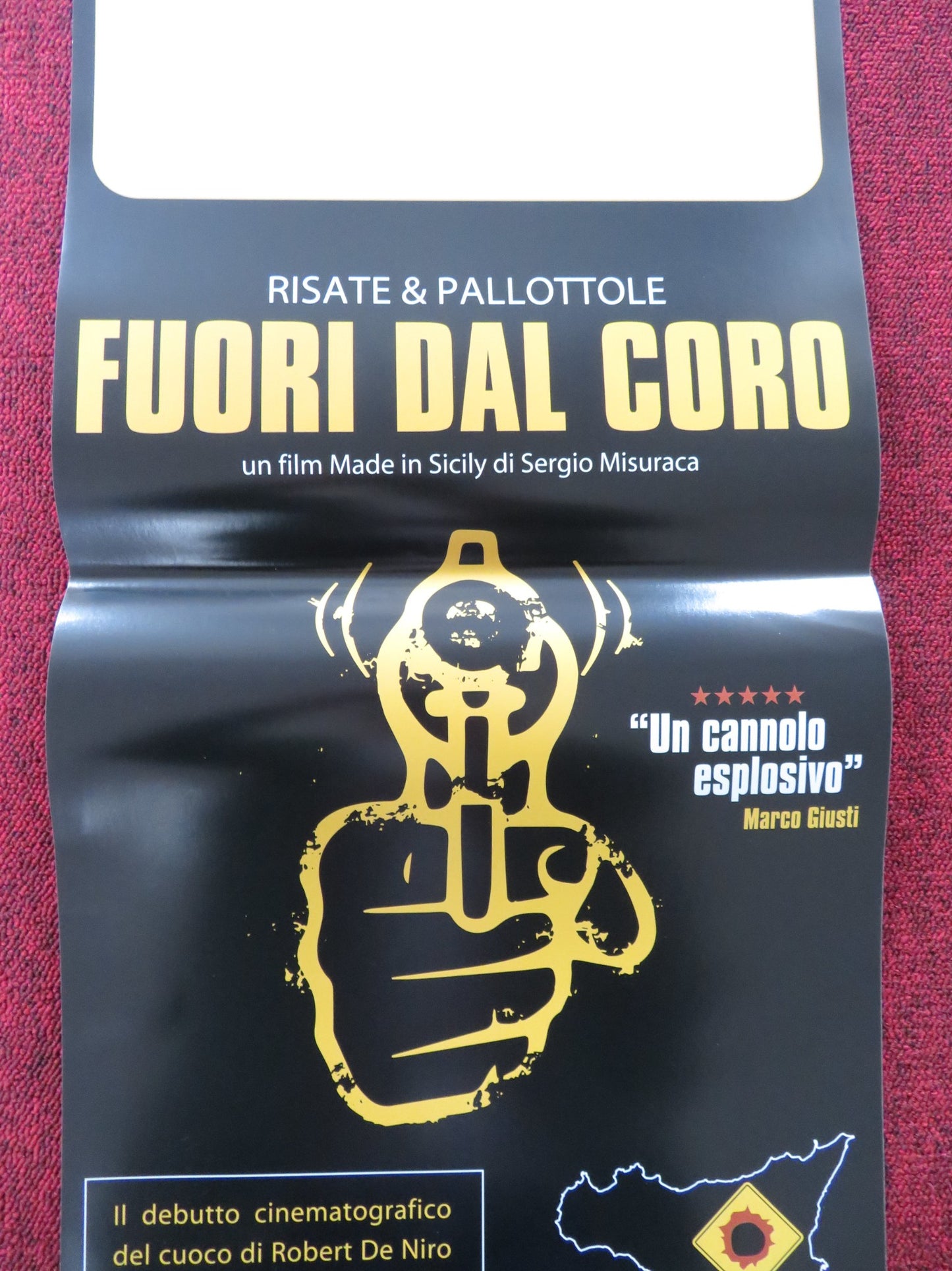 FUORI DAL CORO ITALIAN LOCANDINA POSTER MANUELA MULE DARIO RAIMONDI 2015