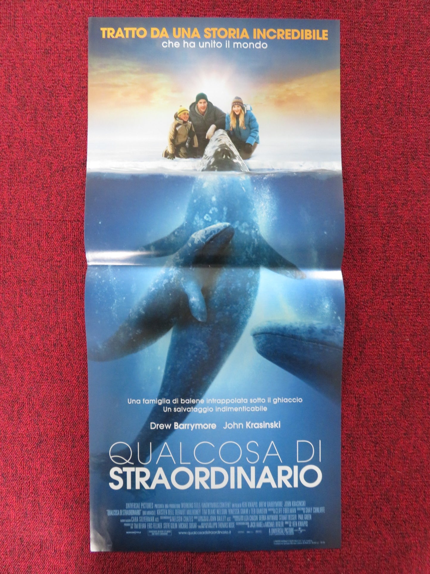 BIG MIRACLE ITALIAN LOCANDINA POSTER DREW BARRYMORE JOHN KRASINSKI 2012