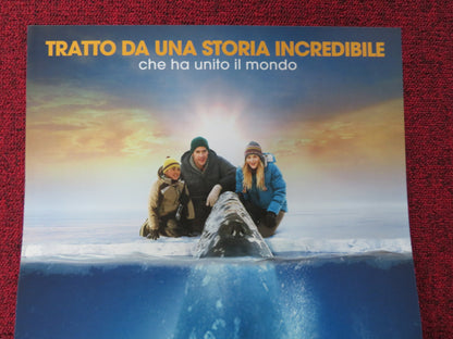 BIG MIRACLE ITALIAN LOCANDINA POSTER DREW BARRYMORE JOHN KRASINSKI 2012