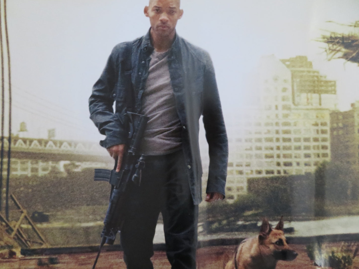 I AM LEGEND UK QUAD (30"x 40") ROLLED POSTER WILL SMITH ALICE BRAGA 2007