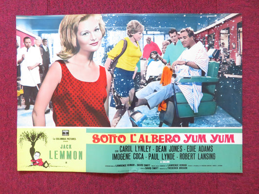 UNDER THE YUM YUM TREE- B ITALIAN FOTOBUSTA POSTER JACK LEMMON C. LYNLEY 1963