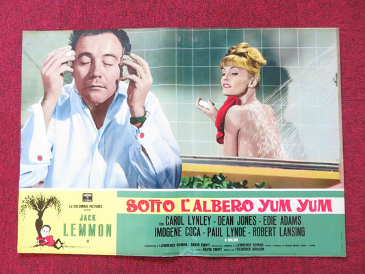 UNDER THE YUM YUM TREE- C ITALIAN FOTOBUSTA POSTER JACK LEMMON C. LYNLEY 1963