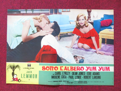 UNDER THE YUM YUM TREE- D ITALIAN FOTOBUSTA POSTER JACK LEMMON C. LYNLEY 1963