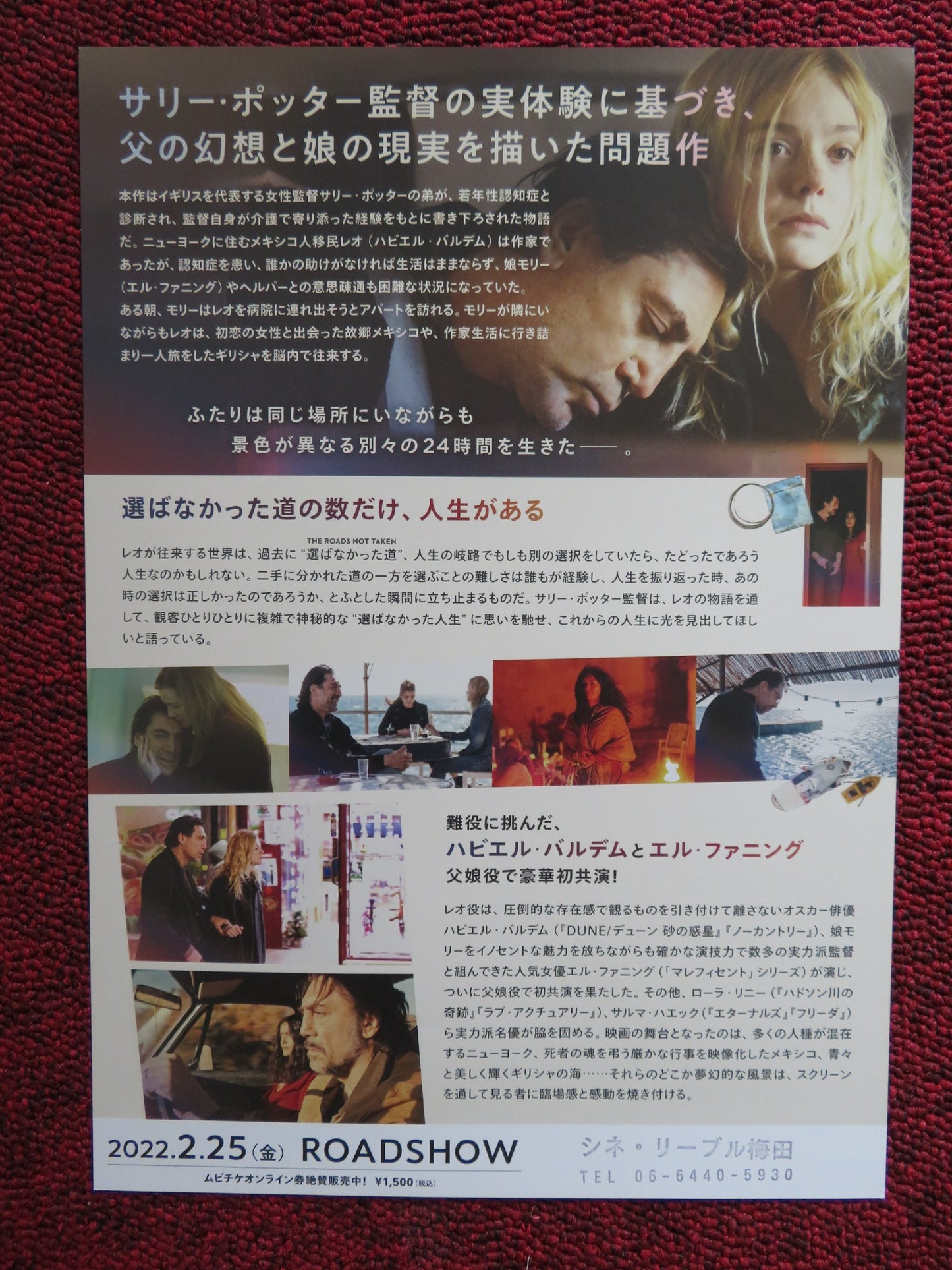 THE ROADS NOT TAKEN JAPANESE CHIRASHI (B5) POSTER ELLE FANNING J.BARDEM 2020