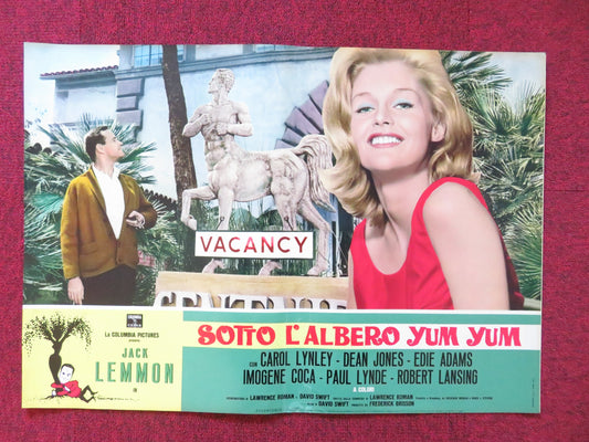 UNDER THE YUM YUM TREE- F ITALIAN FOTOBUSTA POSTER JACK LEMMON C. LYNLEY 1963