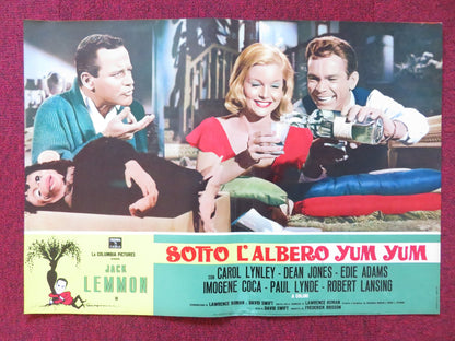 UNDER THE YUM YUM TREE- H ITALIAN FOTOBUSTA POSTER JACK LEMMON C. LYNLEY 1963