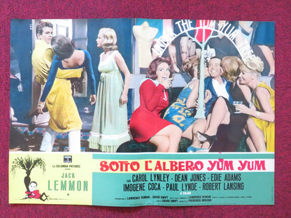 UNDER THE YUM YUM TREE- J ITALIAN FOTOBUSTA POSTER JACK LEMMON C. LYNLEY 1963