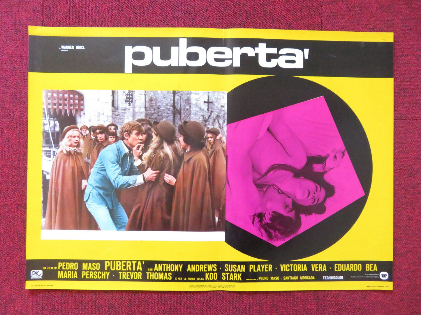 PUBERTA' / THE ADOLESCENTS -A ITALIAN FOTOBUSTA POSTER ANTHONY ANDREWS 1975