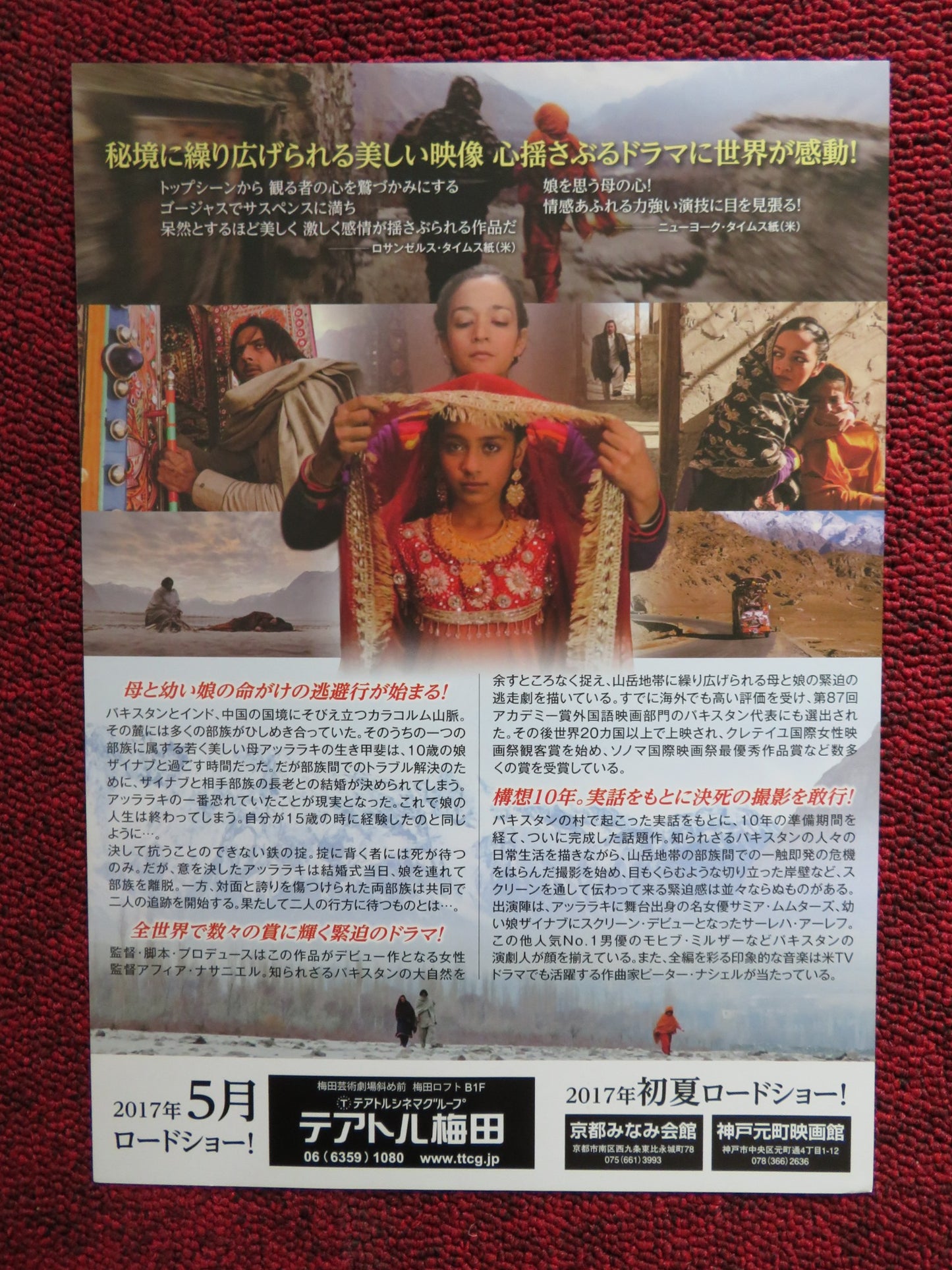 DUKHTAR JAPANESE CHIRASHI (B5) POSTER SAMIYA MUMTAZ MOHIB MIRZA 2014