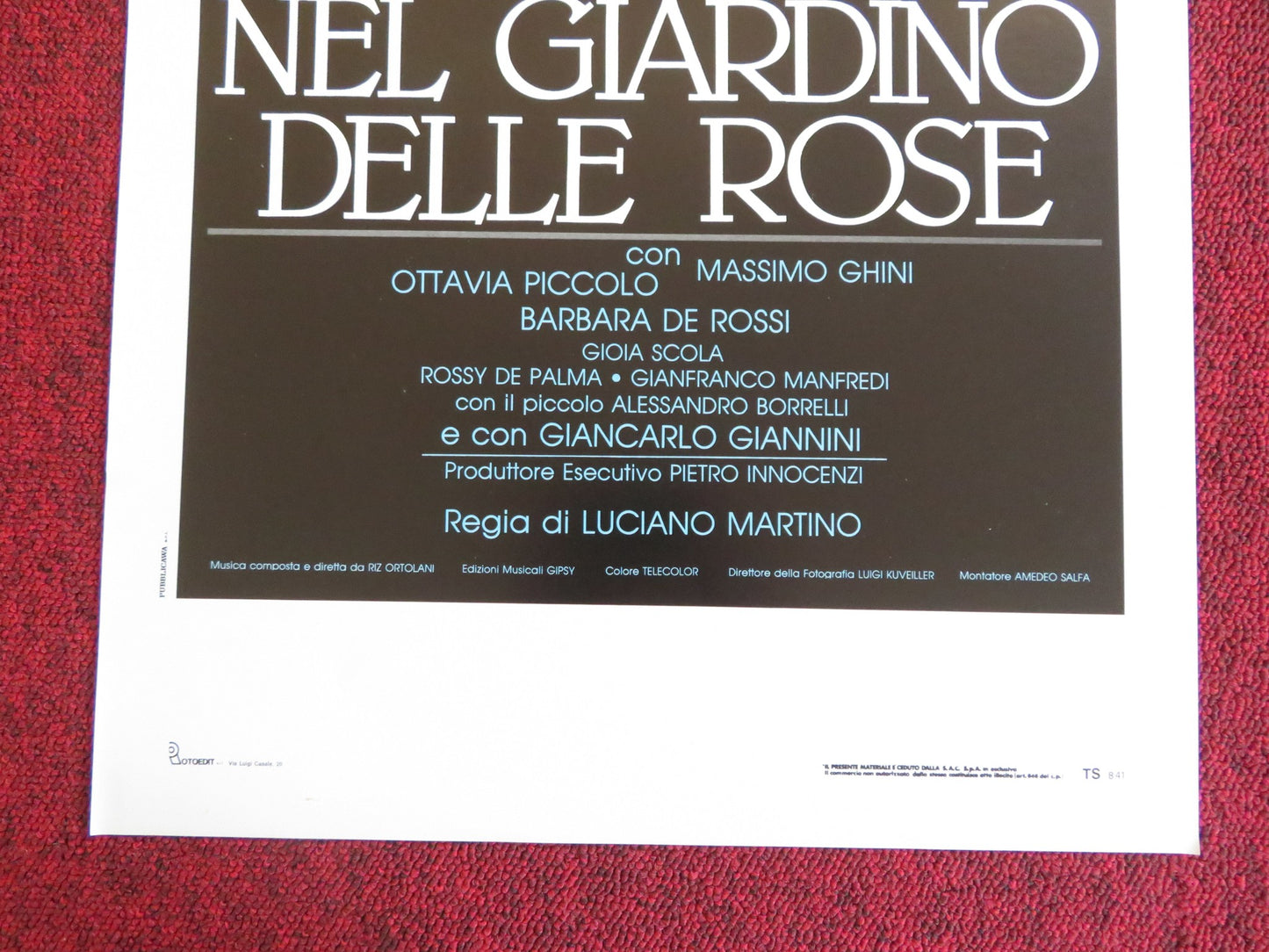 NEL GIARDINO DELLE ROSE ITALIAN LOCANDINA POSTER OTTAVIA PICCOLO 1990