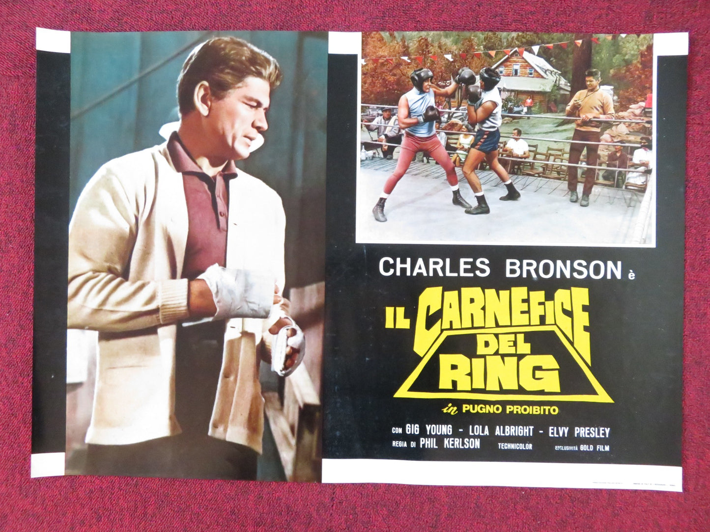 KID GALAHAD - B ITALIAN FOTOBUSTA POSTER CHARLES BRONSON ELVIS PRESLEY 1962