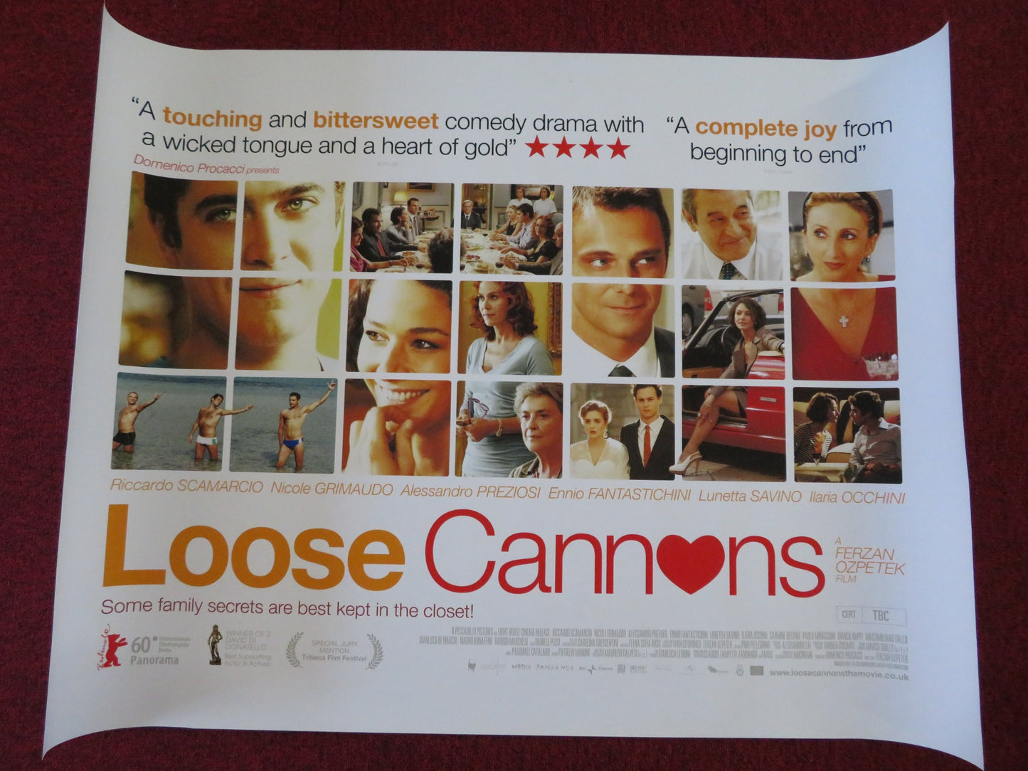 LOOSE CANNONS UK QUAD (30"x 40") ROLLED POSTER RICCARDO SCAMARCIO N.GRIMAUD 2010