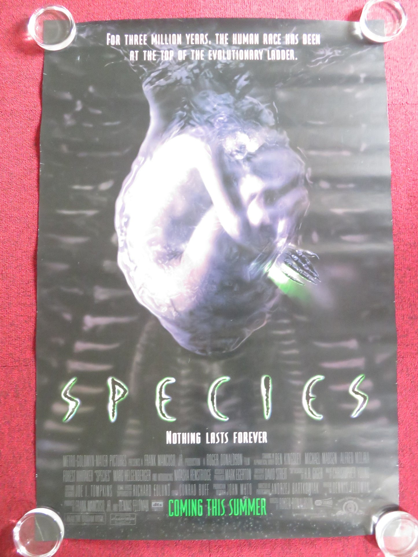 SPECIES US ONE SHEET ROLLED POSTER BEN KINGSLEY MICHAEL MADSEN 1995