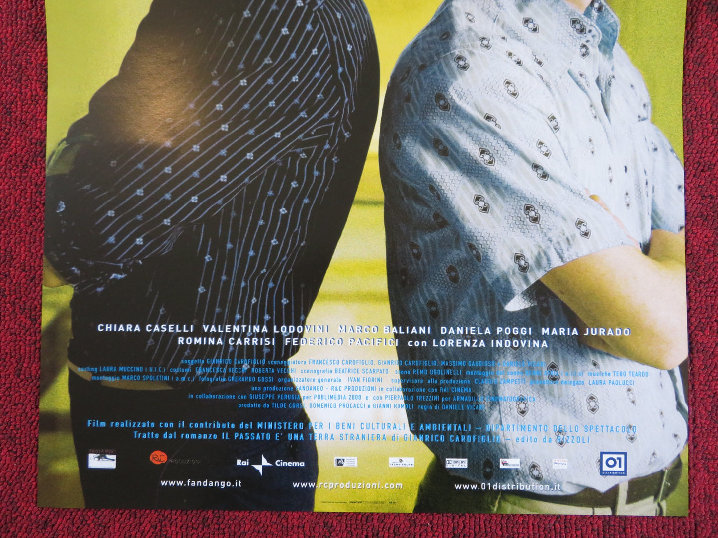 THE PAST IS A FOREIGN LAND ITALIAN LOCANDINA POSTER ELIO GERMANO 2008