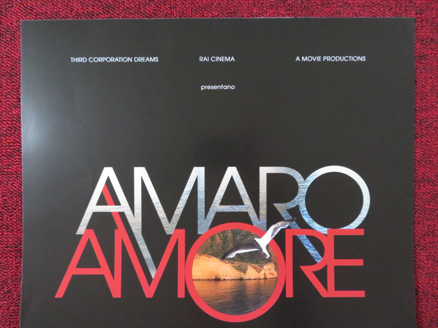 AMARO AMORE ITALIAN LOCANDINA POSTER FRANCESCA CASISA MALIK ZIDI 2012