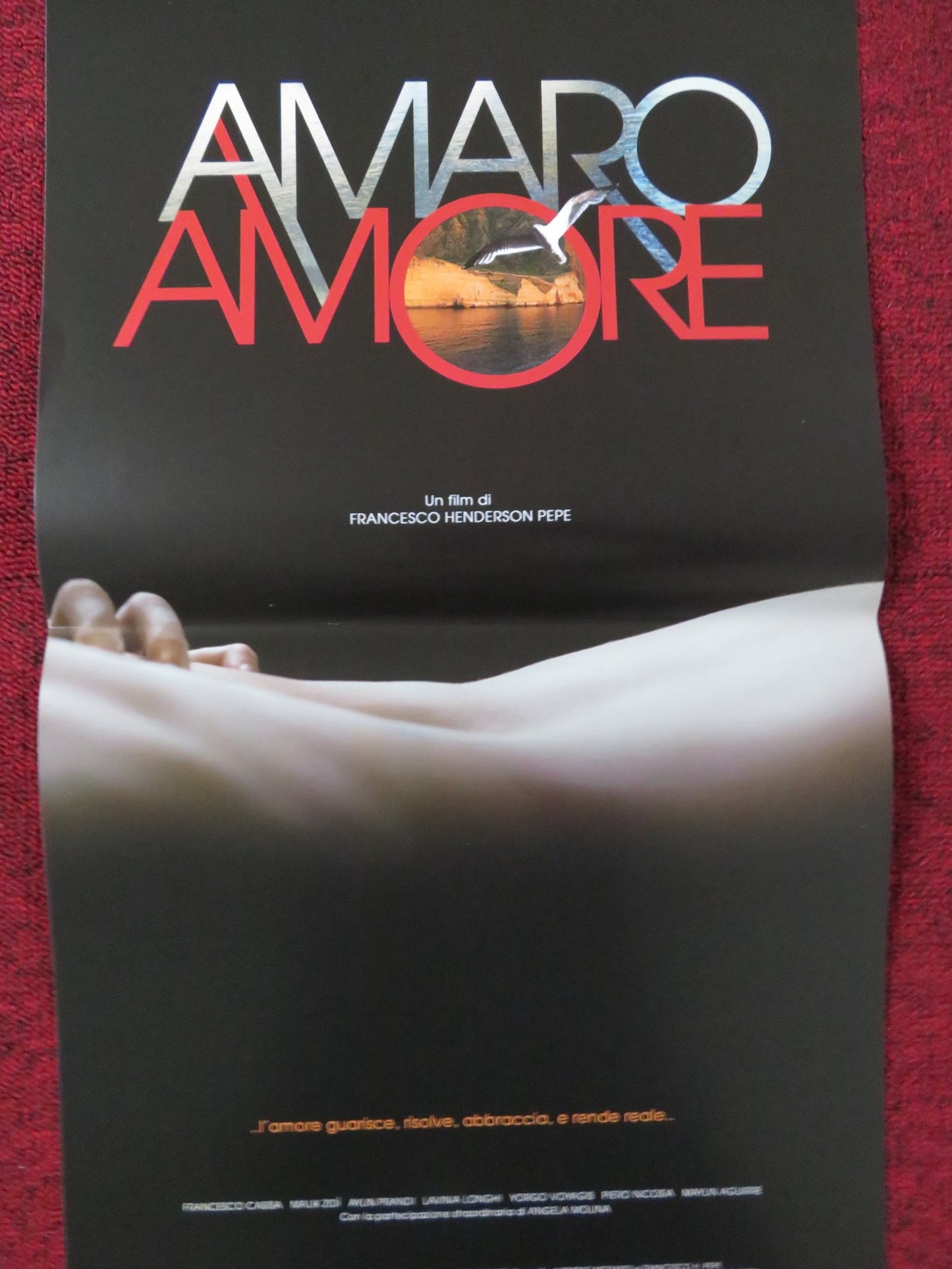 AMARO AMORE ITALIAN LOCANDINA POSTER FRANCESCA CASISA MALIK ZIDI 2012