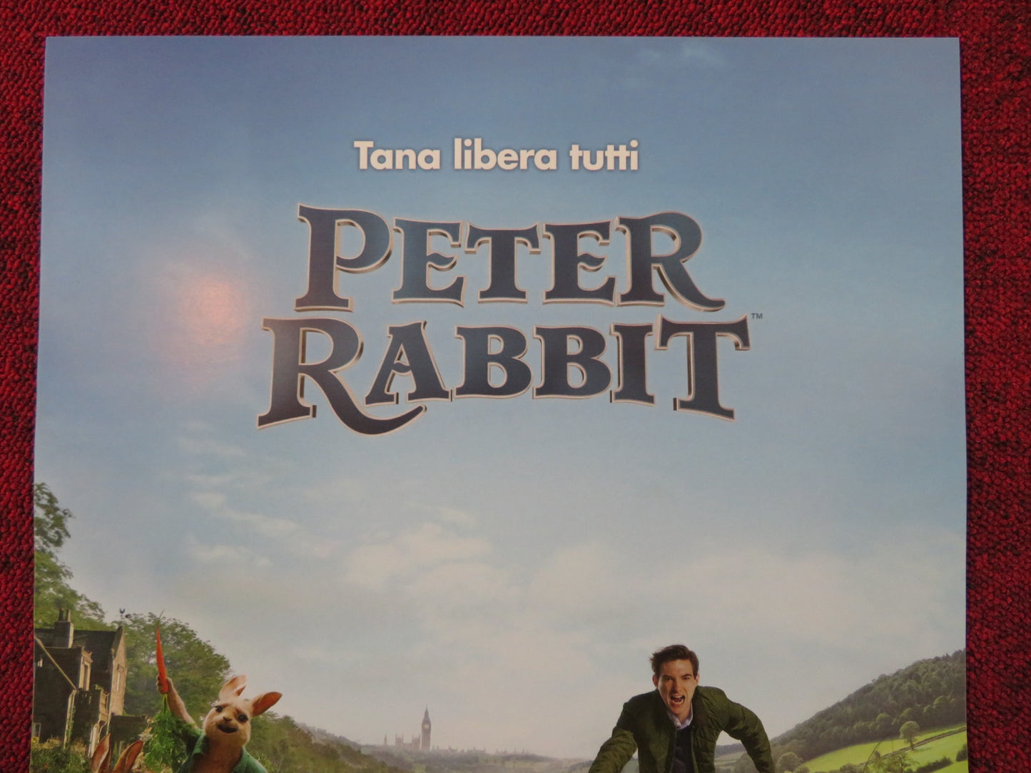 PETER RABBIT ITALIAN LOCANDINA POSTER DOMHNALL GLEESON ROS BYRNE 2018