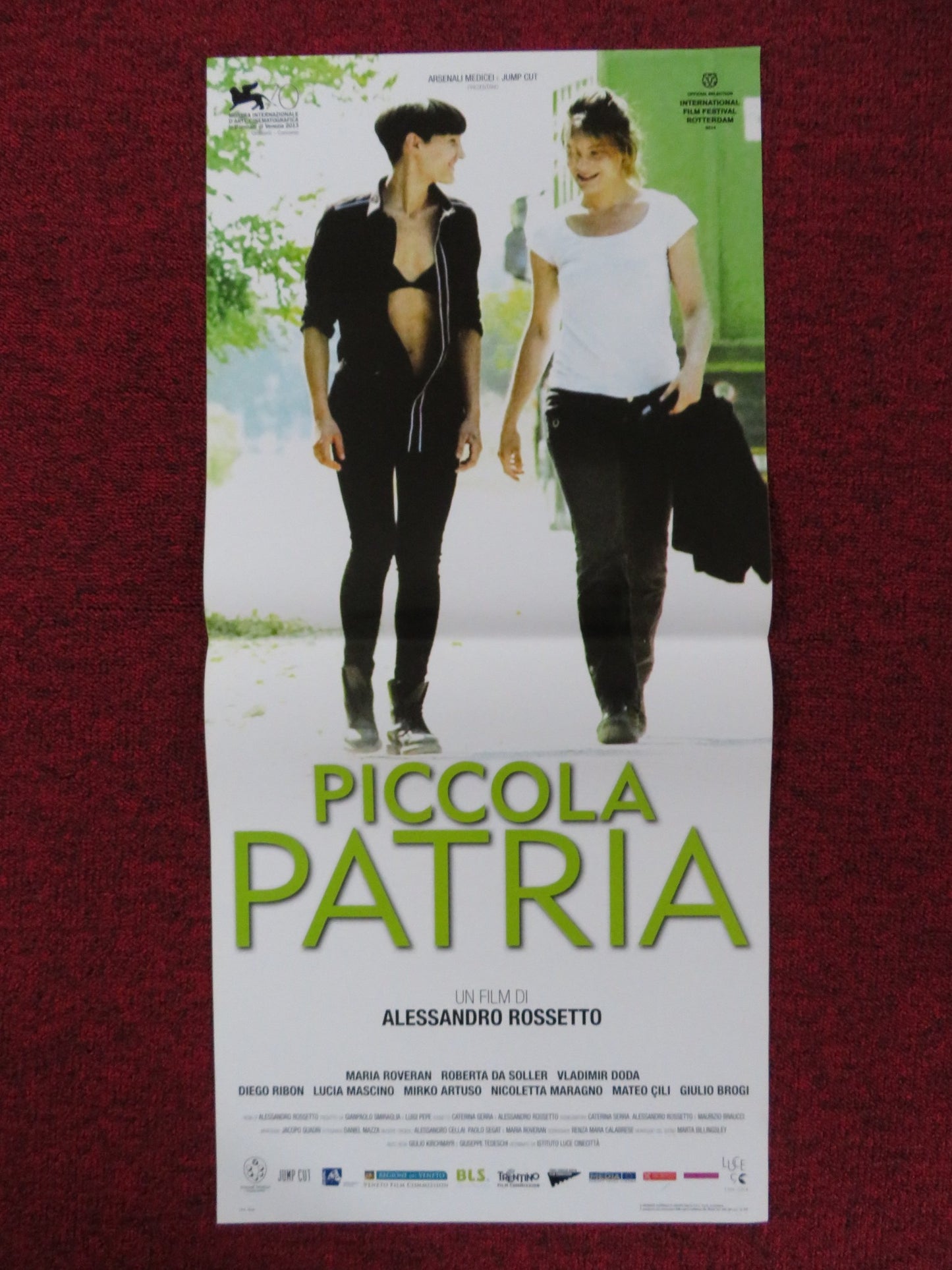 PICCOLA PATRIA ITALIAN LOCANDINA POSTER MARIA ROVERAN ROBERTA DA SOLLER 2013