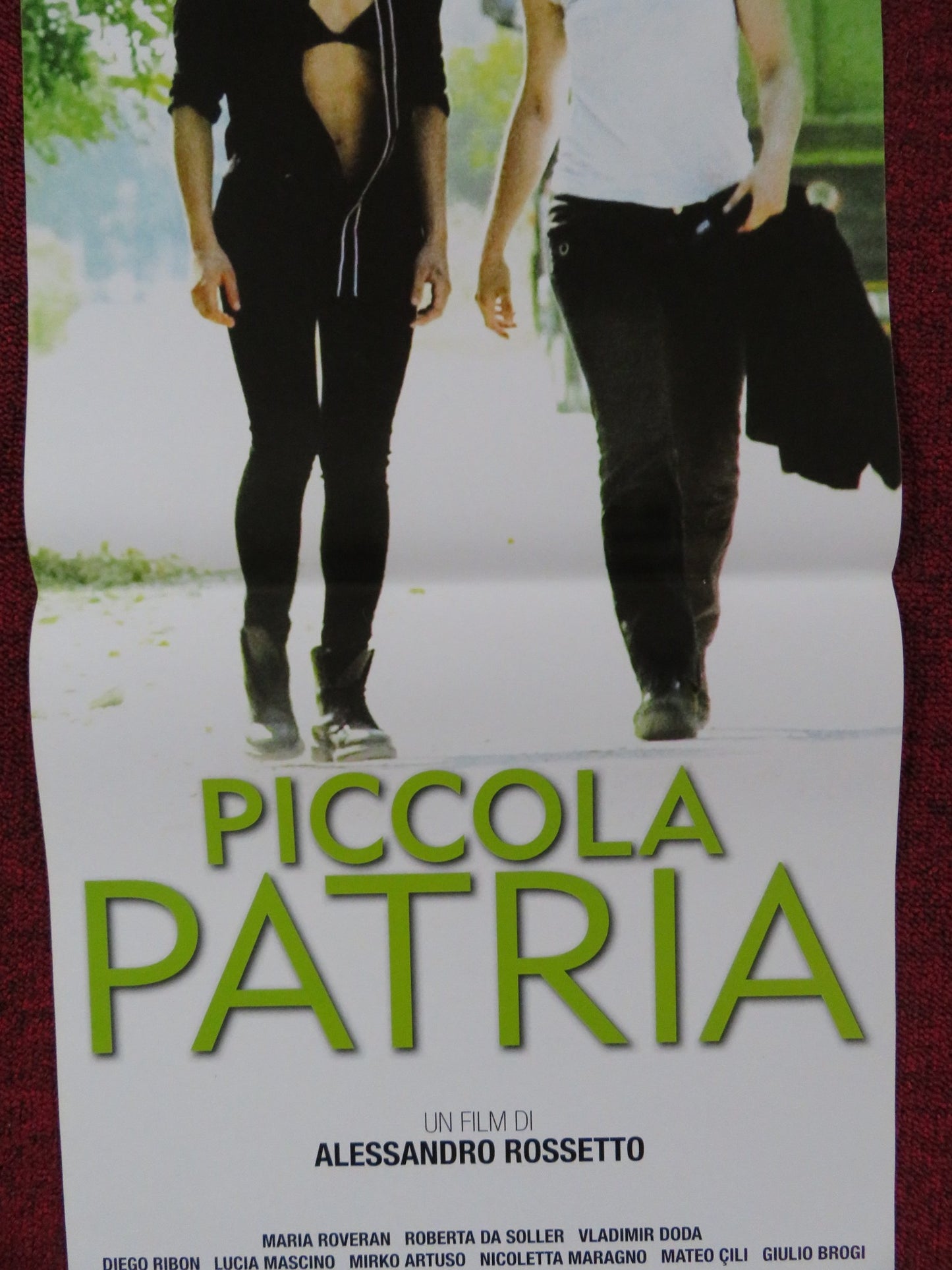 PICCOLA PATRIA ITALIAN LOCANDINA POSTER MARIA ROVERAN ROBERTA DA SOLLER 2013