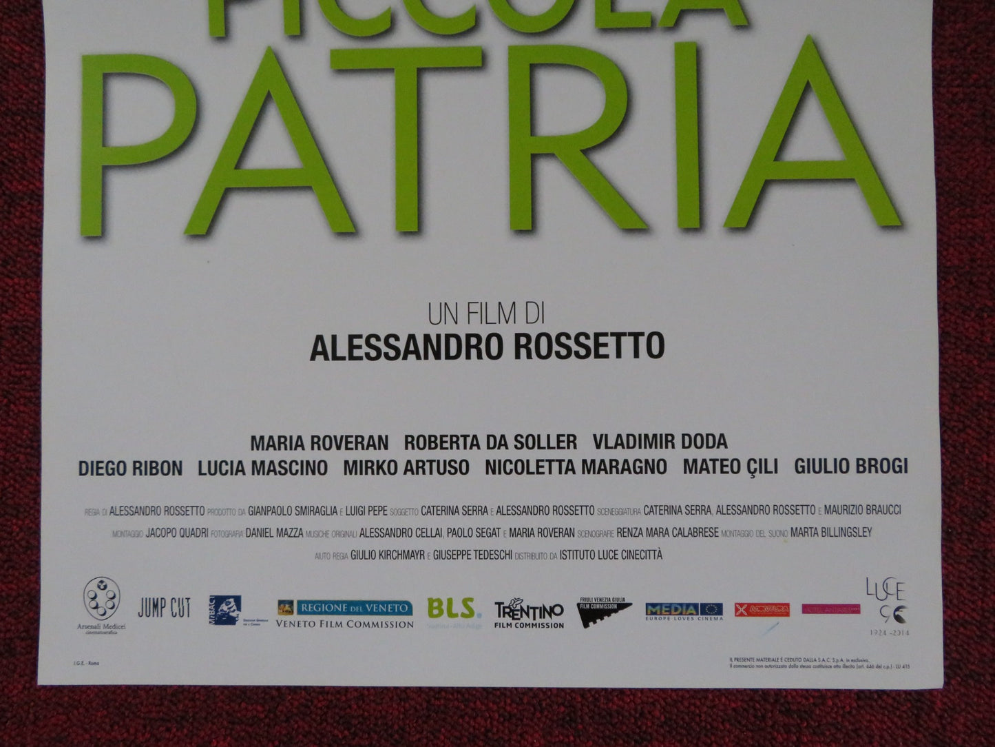 PICCOLA PATRIA ITALIAN LOCANDINA POSTER MARIA ROVERAN ROBERTA DA SOLLER 2013