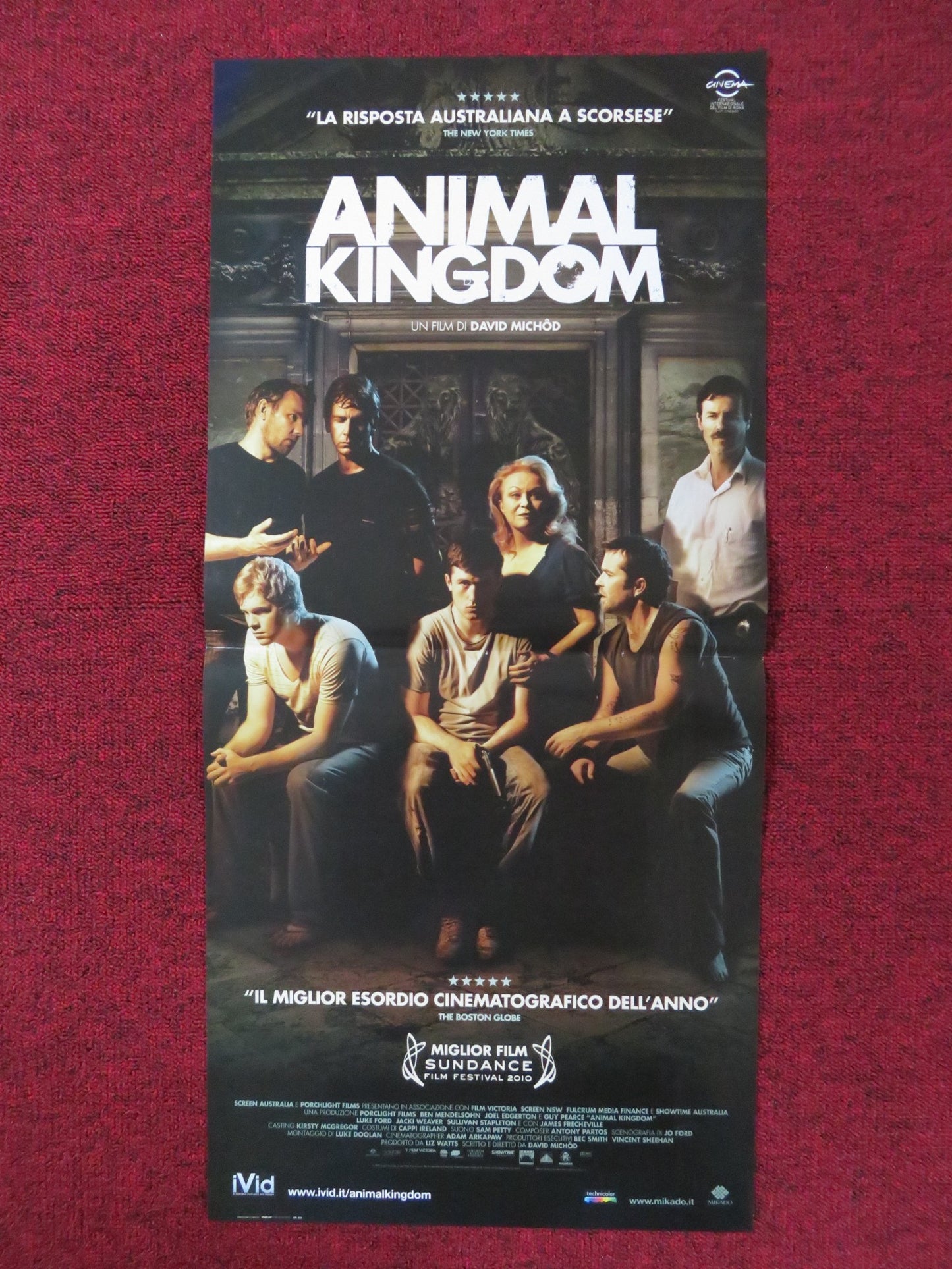 ANIMAL KINGDOM ITALIAN LOCANDINA POSTER JOEL EDGERTON GUY PEARCE 2010