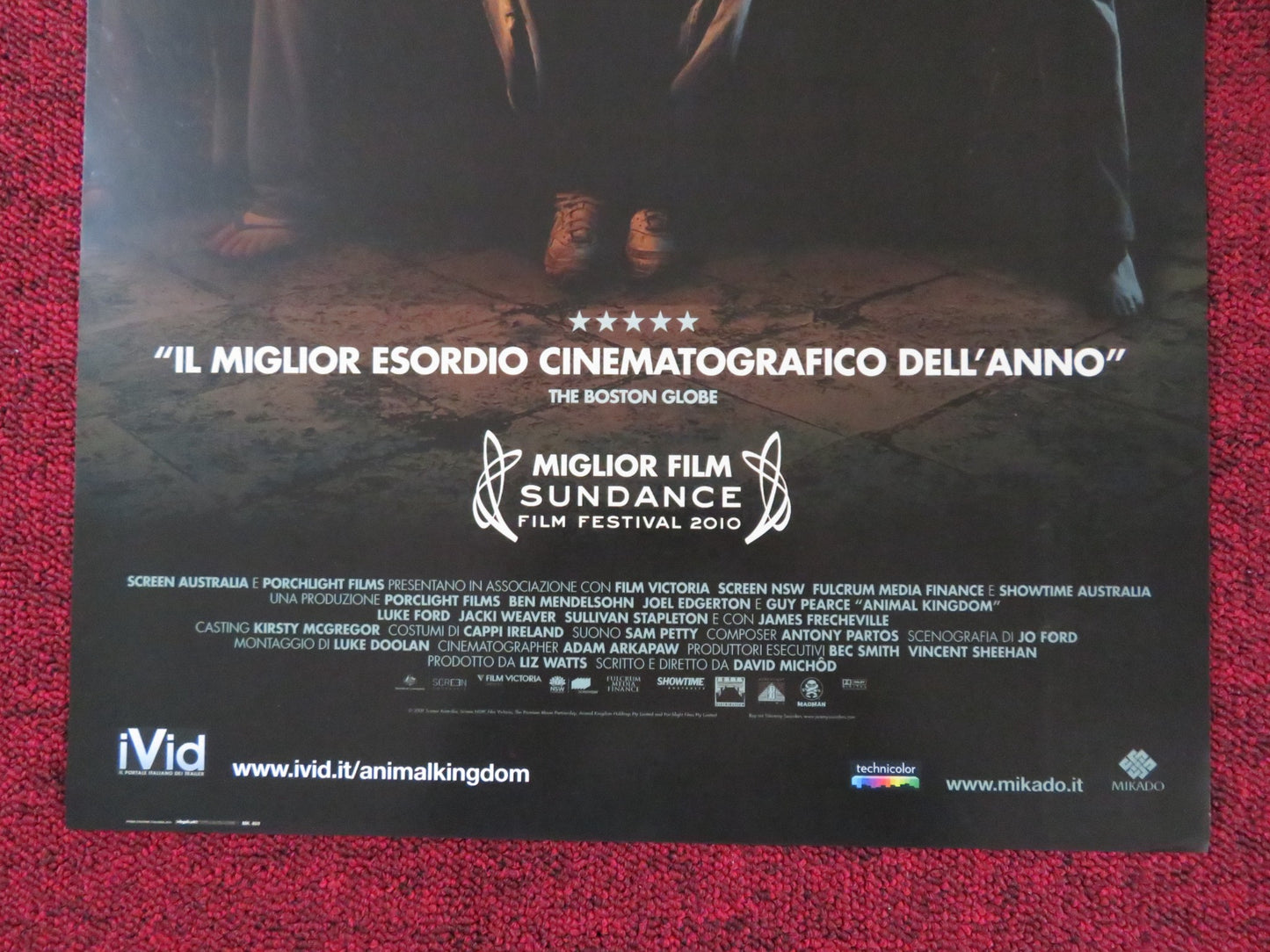 ANIMAL KINGDOM ITALIAN LOCANDINA POSTER JOEL EDGERTON GUY PEARCE 2010