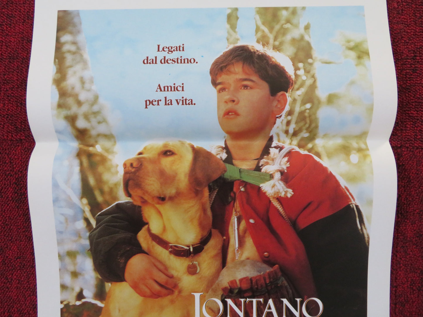 FAR FROM HOME: THE ADVENTURES OF YELLOW DOG ITALIAN LOCANDINA POSTER 1995