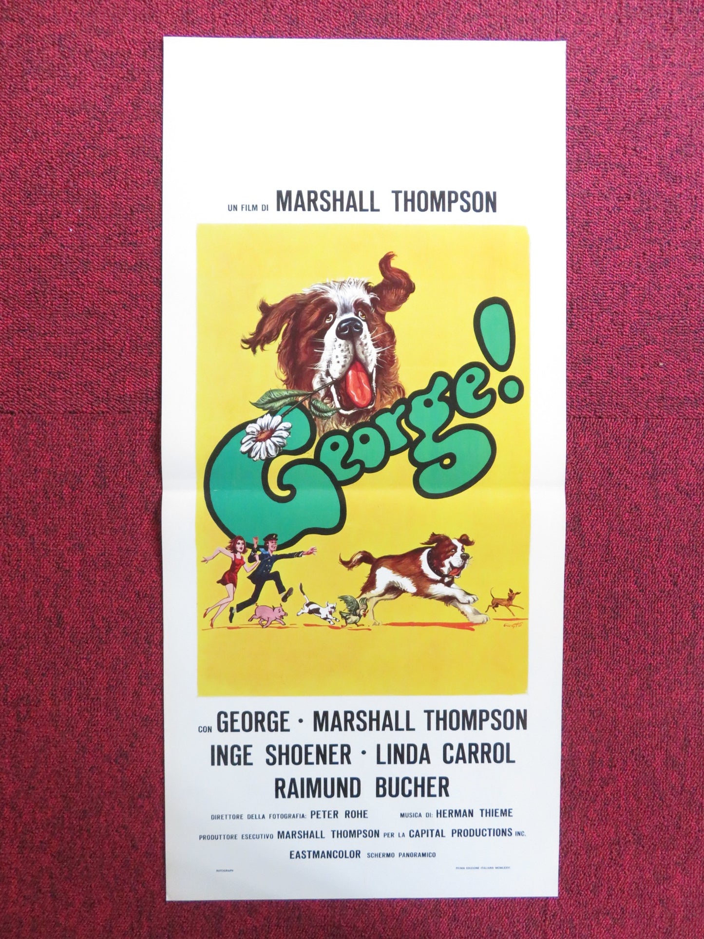 GEORGE! ITALIAN LOCANDINA POSTER MARSHALL THOMPSON INGE SHOENER 1976