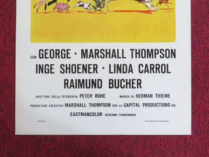 GEORGE! ITALIAN LOCANDINA POSTER MARSHALL THOMPSON INGE SHOENER 1976